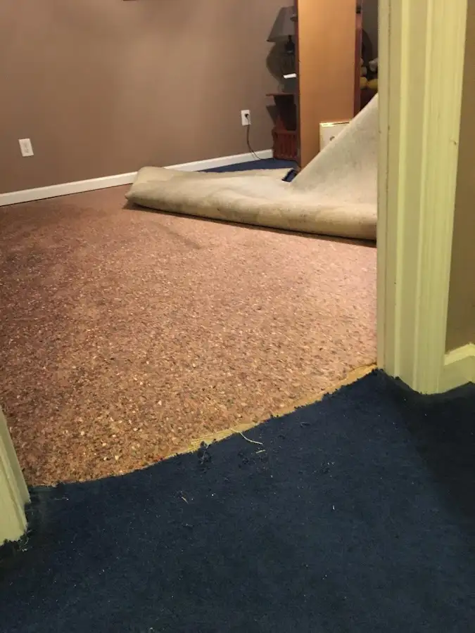 Carpet pad removal revealing water damage during Drying & Dehumidification in Woodmere